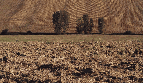 Coût et potentiel de stockage de carbone dans les sols agricoles français