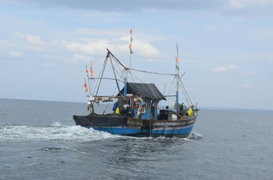 Apprendre pour mieux gérer : l’enjeu informationnel des politiques de pêche face au changement climatique