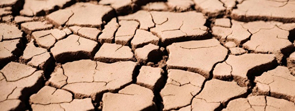 Assurabilité des risques climatiques : pourquoi assurance et auto-assurance peuvent être complémentaires
